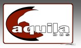 AquilaBus logo design