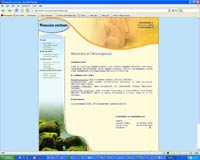Massz�zs webdesign, Photoshop