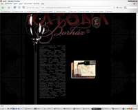 Borh�z webdesign, PhotoShop, HTML, CSS