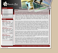 Magnolia webdesign, Photoshop