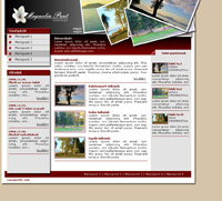 Magnolia webdesign, Photoshop