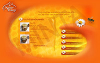 MasterHoney webdesign, Photoshop